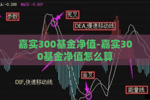 嘉实300基金净值-嘉实300基金净值怎么算  第1张