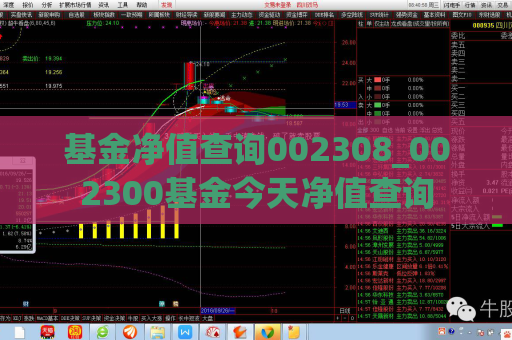 基金净值查询002308_002300基金今天净值查询  第1张