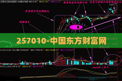 257010-中国东方财富网  第1张