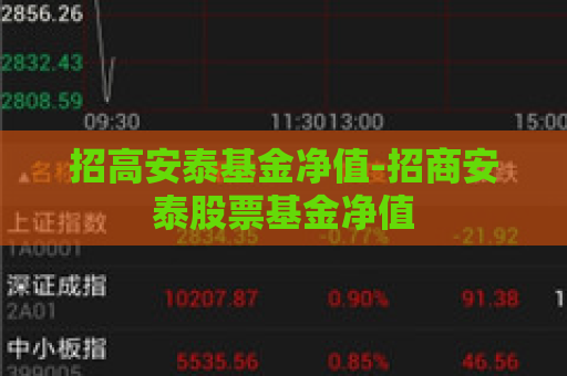 招高安泰基金净值-招商安泰股票基金净值  第1张