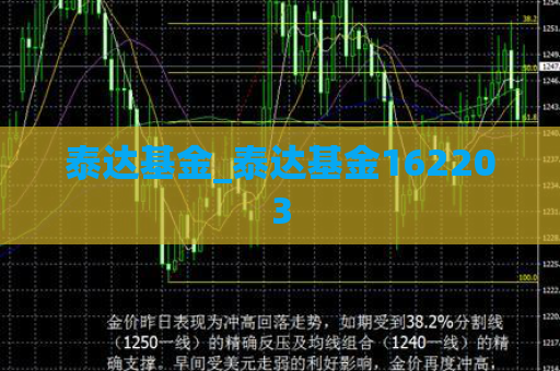 泰达基金_泰达基金162203