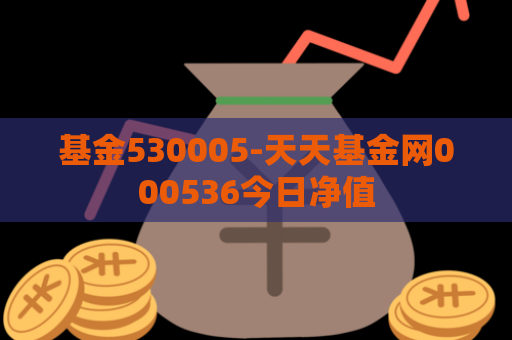 基金530005-天天基金网000536今日净值