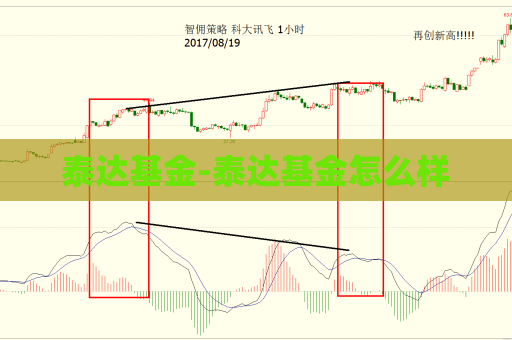 泰达基金-泰达基金怎么样