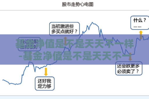 基金净值是不是天天不一样-基金净值是不是天天不一样的  第1张