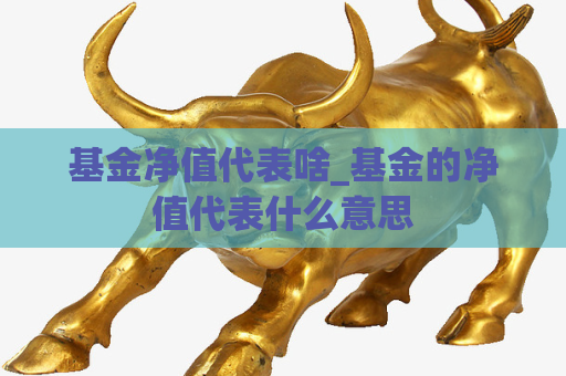 基金净值代表啥_基金的净值代表什么意思  第1张