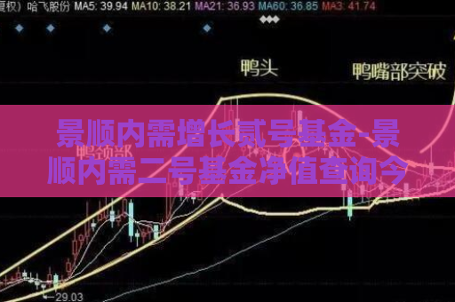 景顺内需增长贰号基金-景顺内需二号基金净值查询今日  第1张