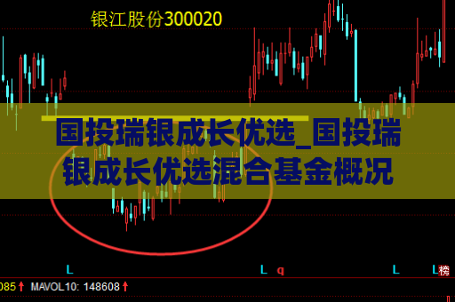 国投瑞银成长优选_国投瑞银成长优选混合基金概况  第1张