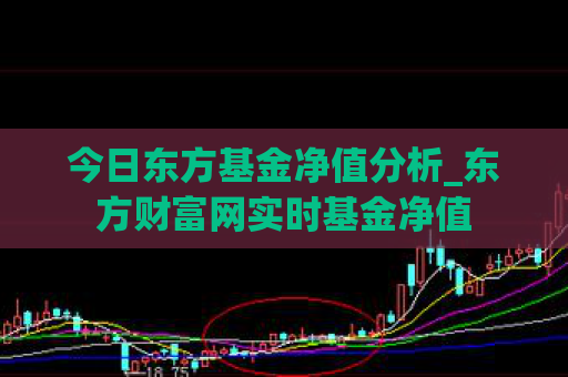 今日东方基金净值分析_东方财富网实时基金净值  第1张