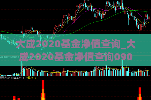 大成2020基金净值查询_大成2020基金净值查询090006  第1张