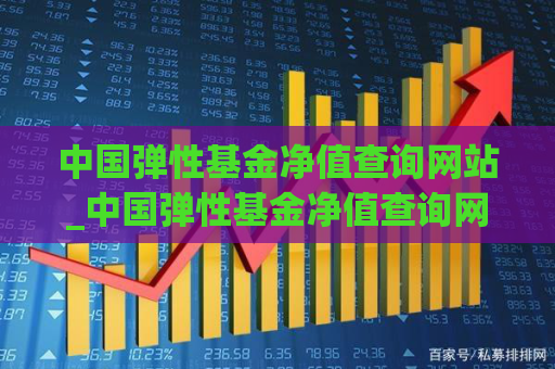 中国弹性基金净值查询网站_中国弹性基金净值查询网站最新  第1张