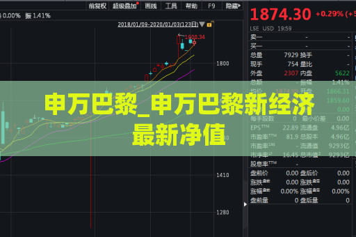 申万巴黎_申万巴黎新经济最新净值  第1张