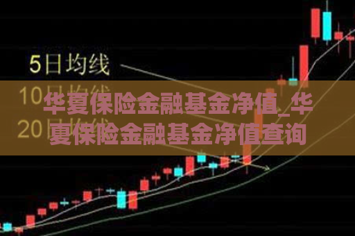 华夏保险金融基金净值_华夏保险金融基金净值查询  第1张