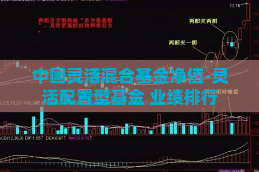 中国灵活混合基金净值-灵活配置型基金 业绩排行  第1张