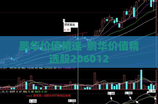 鹏华价值精选-鹏华价值精选股206012  第1张