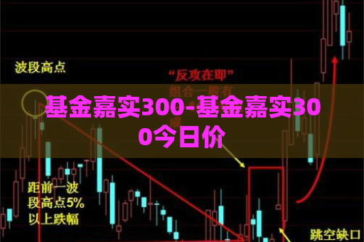 基金嘉实300-基金嘉实300今日价  第1张