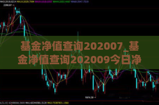 基金净值查询202007_基金净值查询202009今日净值多少  第1张