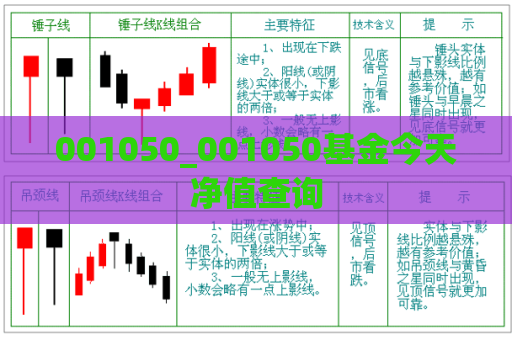 001050_001050基金今天净值查询  第1张