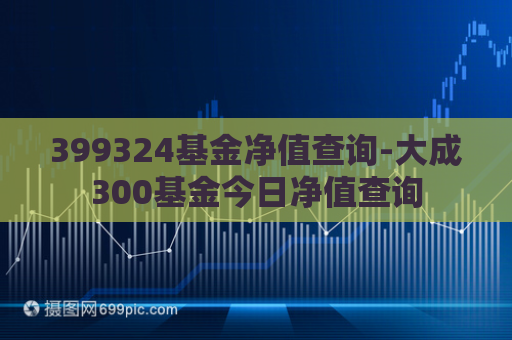 399324基金净值查询-大成300基金今日净值查询  第1张