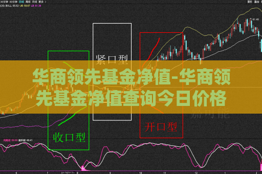 华商领先基金净值-华商领先基金净值查询今日价格  第1张