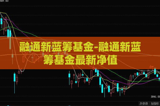 融通新蓝筹基金-融通新蓝筹基金最新净值  第1张