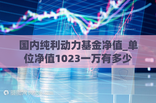 国内纯利动力基金净值_单位净值1023一万有多少  第1张