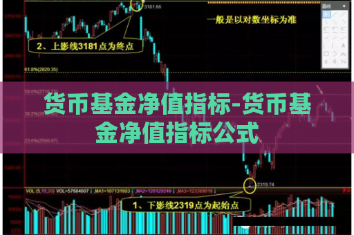 货币基金净值指标-货币基金净值指标公式  第1张