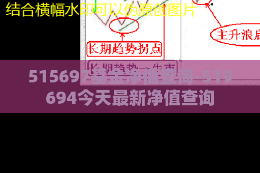 515697基金净值查询-519694今天最新净值查询  第1张