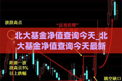 北大基金净值查询今天_北大基金净值查询今天最新  第1张