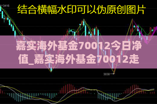 嘉实海外基金70012今日净值_嘉实海外基金70012走势图  第1张