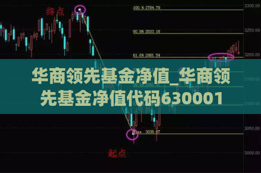 华商领先基金净值_华商领先基金净值代码630001