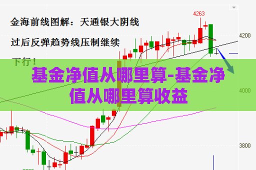 基金净值从哪里算-基金净值从哪里算收益  第1张