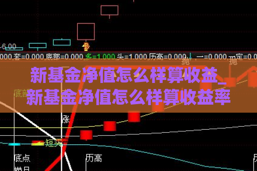 新基金净值怎么样算收益_新基金净值怎么样算收益率  第1张