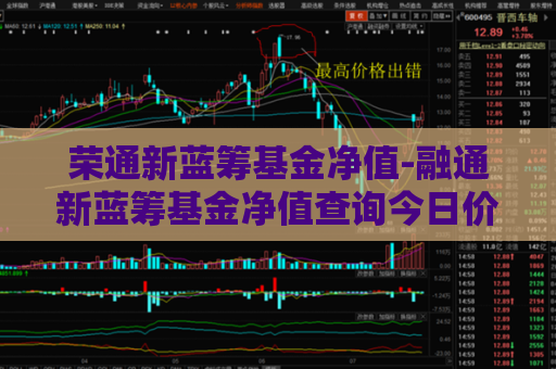 荣通新蓝筹基金净值-融通新蓝筹基金净值查询今日价格一  第1张