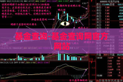 基金查询-基金查询网官方网站  第1张