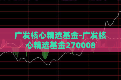 广发核心精选基金-广发核心精选基金270008  第1张