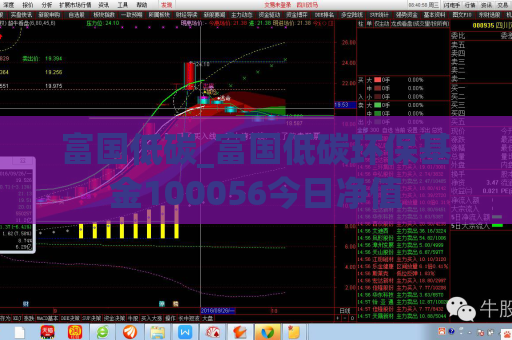富国低碳_富国低碳环保基金100056今日净值  第1张