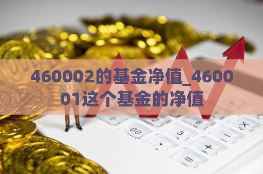 460002的基金净值_460001这个基金的净值  第1张