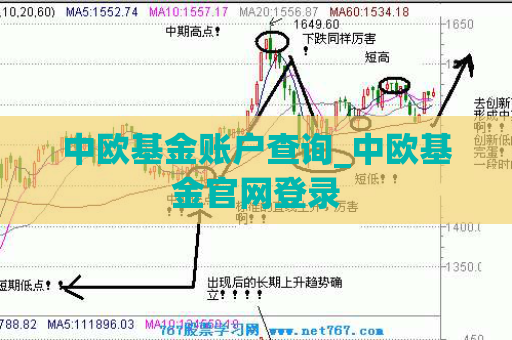 中欧基金账户查询_中欧基金官网登录  第1张