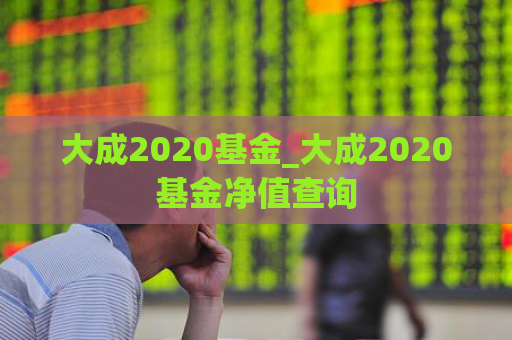 大成2020基金_大成2020基金净值查询  第1张