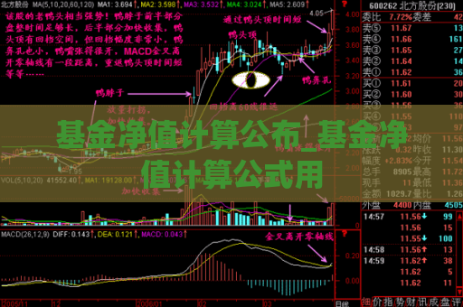 基金净值计算公布_基金净值计算公式用  第1张