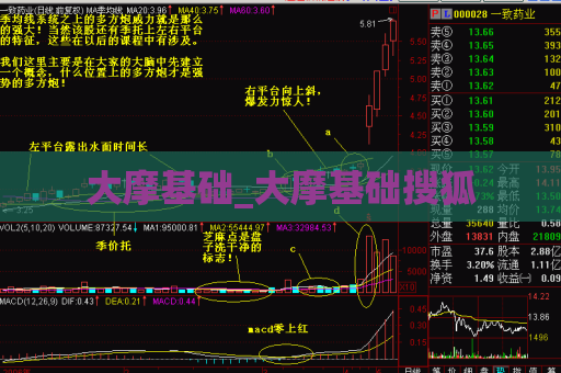 大摩基础_大摩基础搜狐  第1张