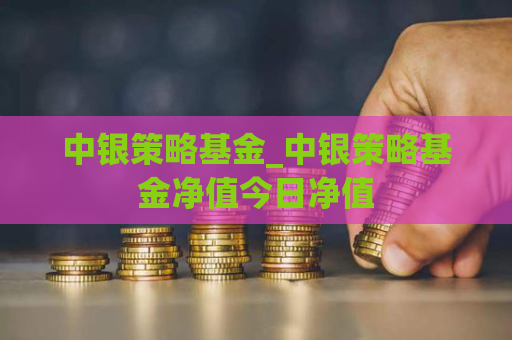 中银策略基金_中银策略基金净值今日净值  第1张