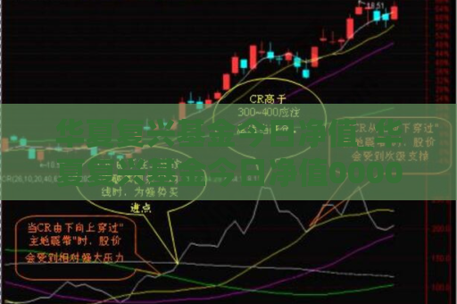 华夏复兴基金今日净值_华夏复兴基金今日净值000031天天基金行情