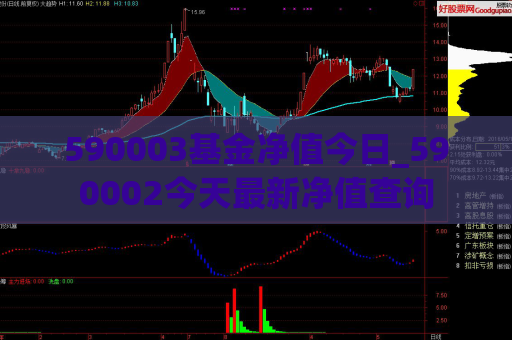 590003基金净值今日_590002今天最新净值查询  第1张