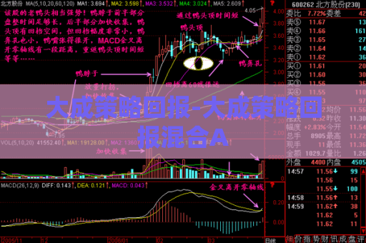 大成策略回报-大成策略回报混合A  第1张