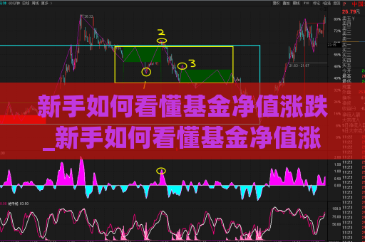 新手如何看懂基金净值涨跌_新手如何看懂基金净值涨跌趋势  第1张