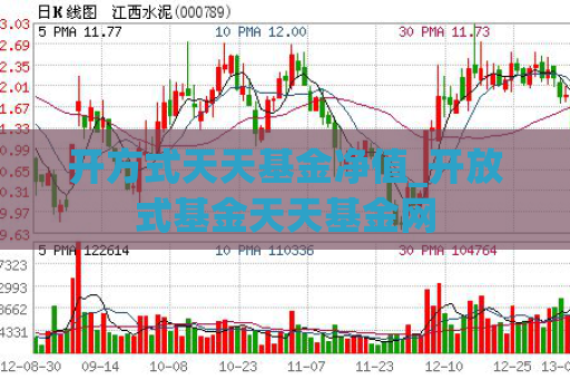 开方式天天基金净值_开放式基金天天基金网  第1张