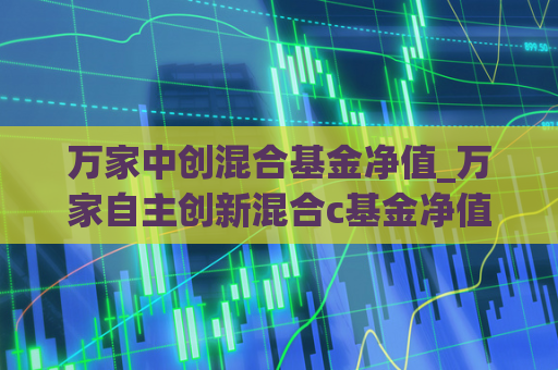 万家中创混合基金净值_万家自主创新混合c基金净值  第1张