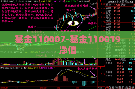 基金110007-基金110019净值  第1张