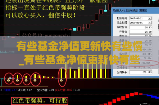 有些基金净值更新快有些慢_有些基金净值更新快有些慢为什么  第1张